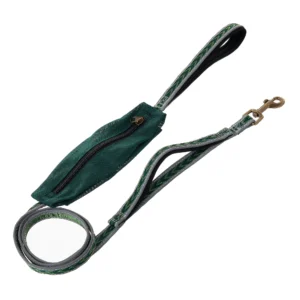 Aztec Reflective Leash for Dogs, Green, Medium