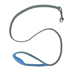 4-Foot Dog Leash, Teal and Gray